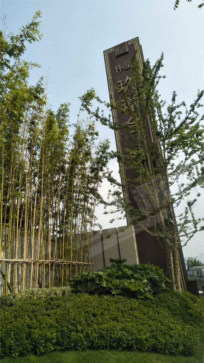 玖樟臺 (10)_副本.jpg